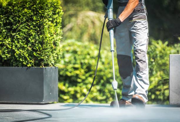 Best Boat and Dock Cleaning  in Winona, MN